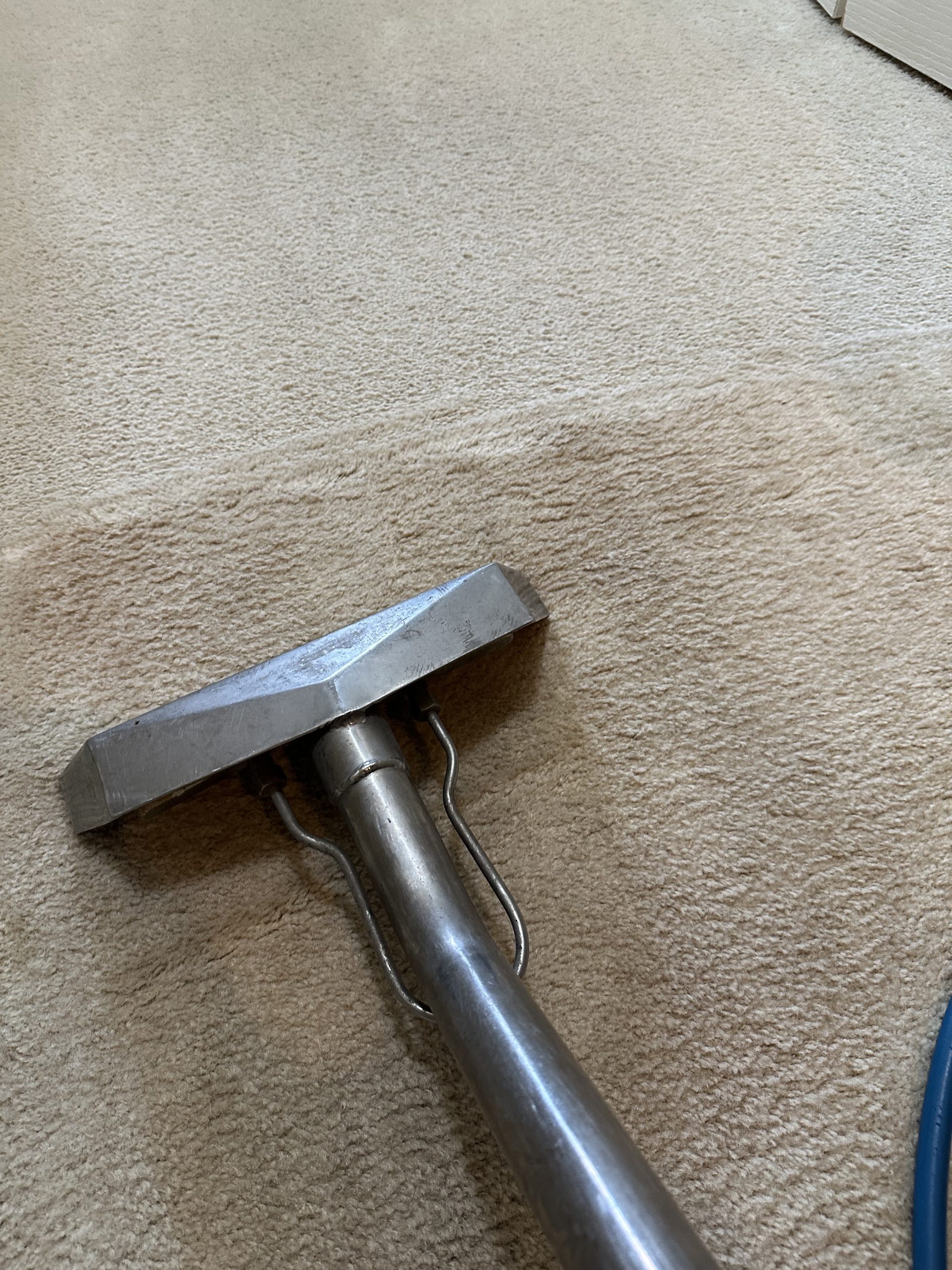 Carpet Cleaning You Can Trust