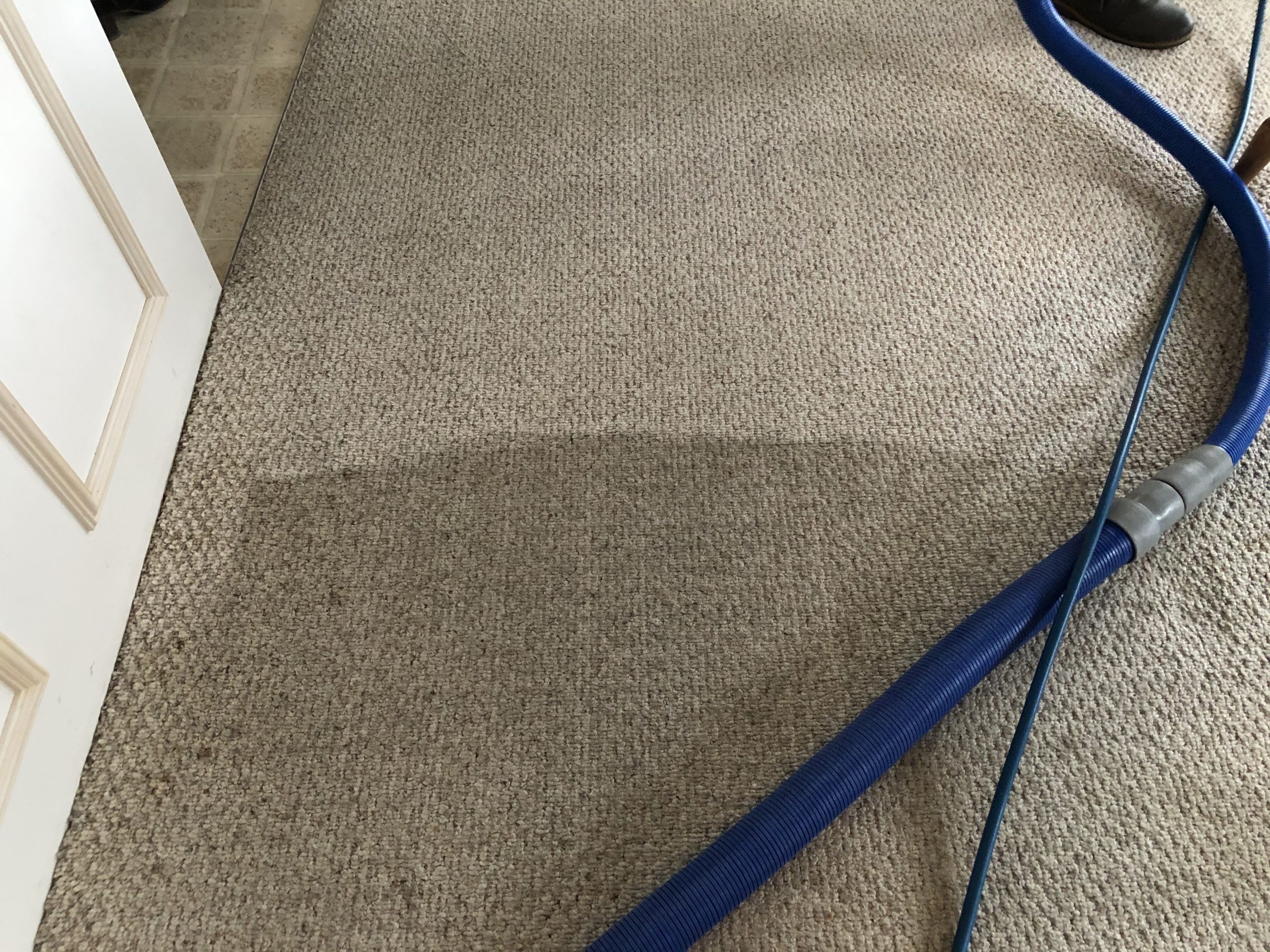 We’re BACK and Ready to Clean Some Carpets!