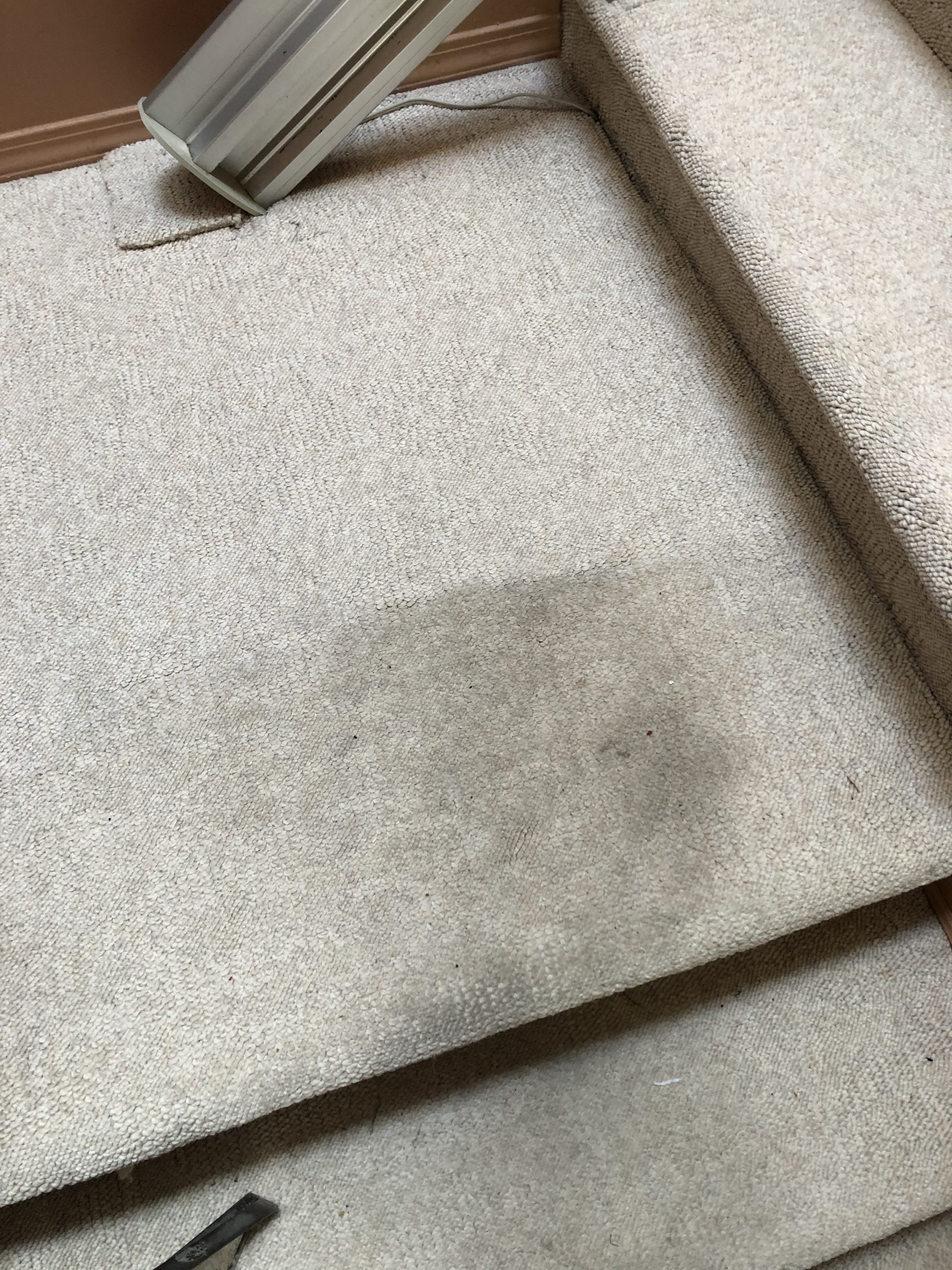 Clean Carpets for Spring!